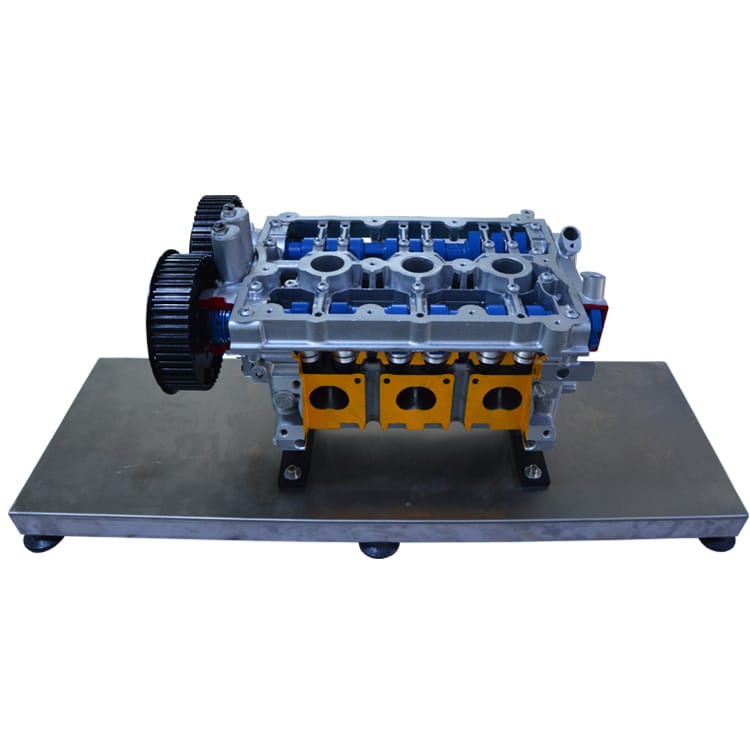 Cylinder and Cylinder Head with Camshaft Cutaway Model